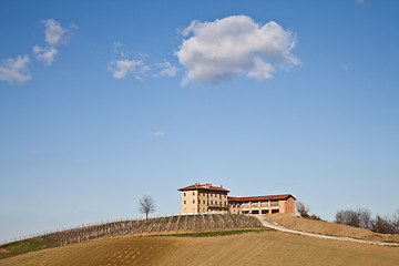 Image showing Italian villa with vineyard: spring season