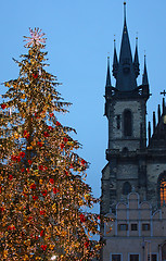 Image showing Christmas tree in Prague - vertical