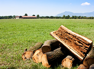 Image showing Pieces of wood