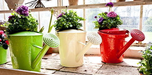 Image showing Garden - Watering can