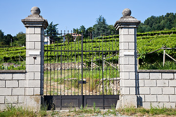 Image showing Italian charming villa in vineyard