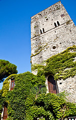 Image showing Castle covered by ivy