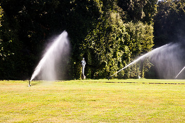 Image showing Luxury garden: irrigation