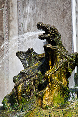 Image showing Dragons fountain, Villa d'Este - Tivoli