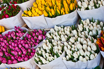 Image showing Amsterdam flowers market