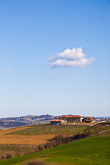 Image showing Italian villa with vineyard: spring season