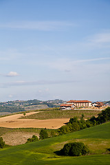 Image showing Italian vineyard: Monferrato