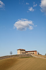 Image showing Italian villa with vineyard: spring season