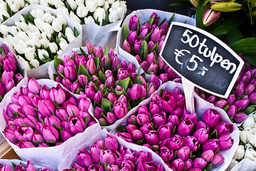 Image showing Amsterdam flowers market