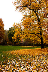 Image showing Autumn in Italy