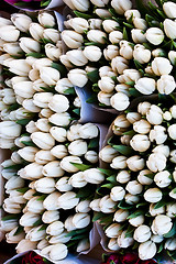 Image showing Amsterdam flowers market