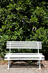 Image showing White bench