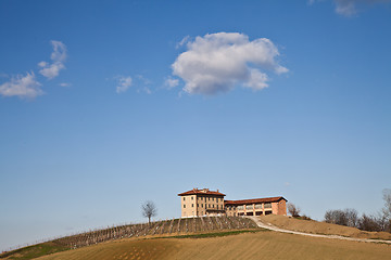 Image showing Italian villa with vineyard: spring season