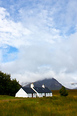 Image showing Scottisch cottage