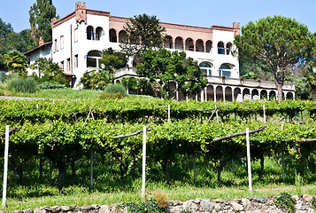 Image showing Italian charming villa in vineyard