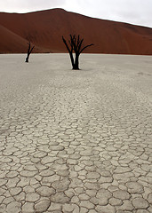 Image showing  desert