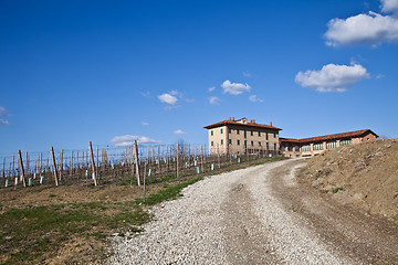 Image showing Italian villa with vineyard: spring season