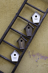 Image showing Bird houses