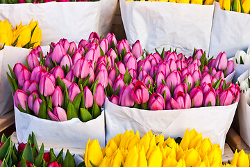 Image showing Amsterdam flowers market