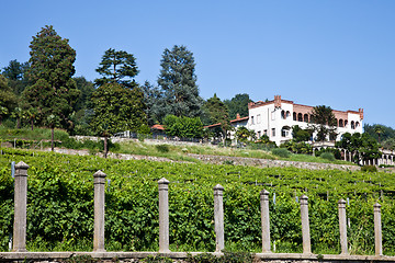 Image showing Italian charming villa in vineyard