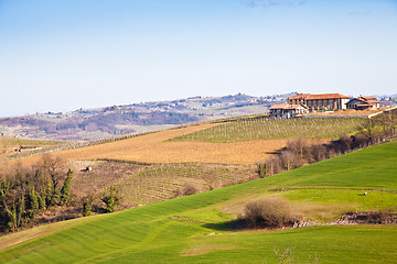 Image showing Italian villa with vineyard: spring season