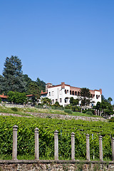 Image showing Italian charming villa in vineyard