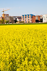 Image showing Building in the country