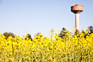 Image showing Country and water tower