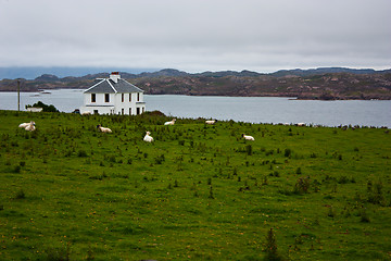 Image showing Scottisch house