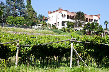 Image showing Italian charming villa in vineyard