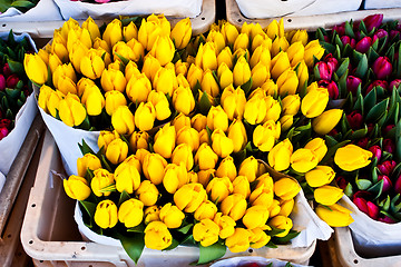 Image showing Amsterdam flowers market