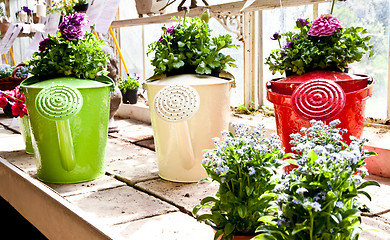 Image showing Garden - Watering can