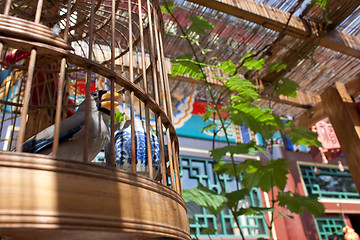 Image showing Traditional Chinese courtyard house