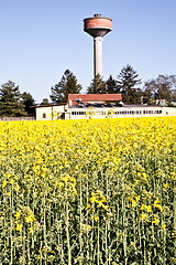 Image showing Country and water tower