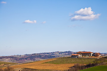 Image showing Italian villa with vineyard: spring season