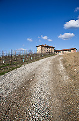 Image showing Italian villa with vineyard: spring season