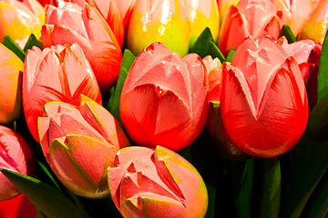 Image showing Tulips made of wood