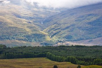 Image showing Scottisch forest