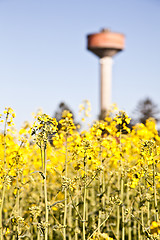 Image showing Country and water tower