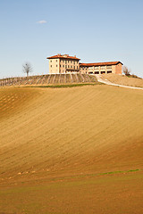 Image showing Italian villa with vineyard: spring season