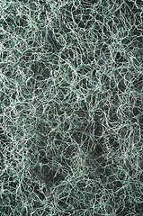 Image showing Plastic fibres