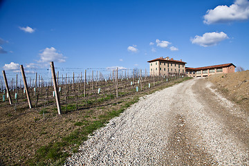 Image showing Italian villa with vineyard: spring season