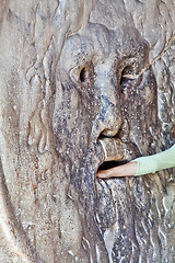 Image showing Mouth of truth, Rome