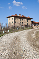 Image showing Italian villa with vineyard: spring season