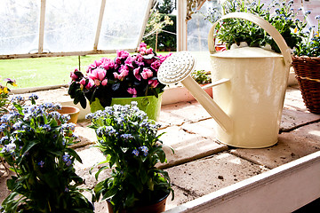 Image showing Garden - Watering can