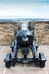 Image showing Cannon