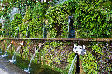 Image showing Villa d'Este - Tivoli