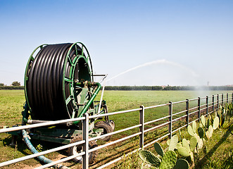 Image showing Irrigation