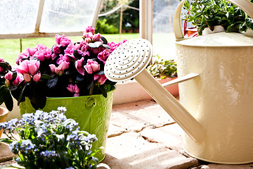 Image showing Garden - Watering can