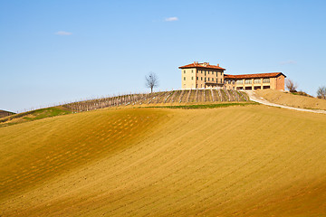 Image showing Italian villa with vineyard: spring season